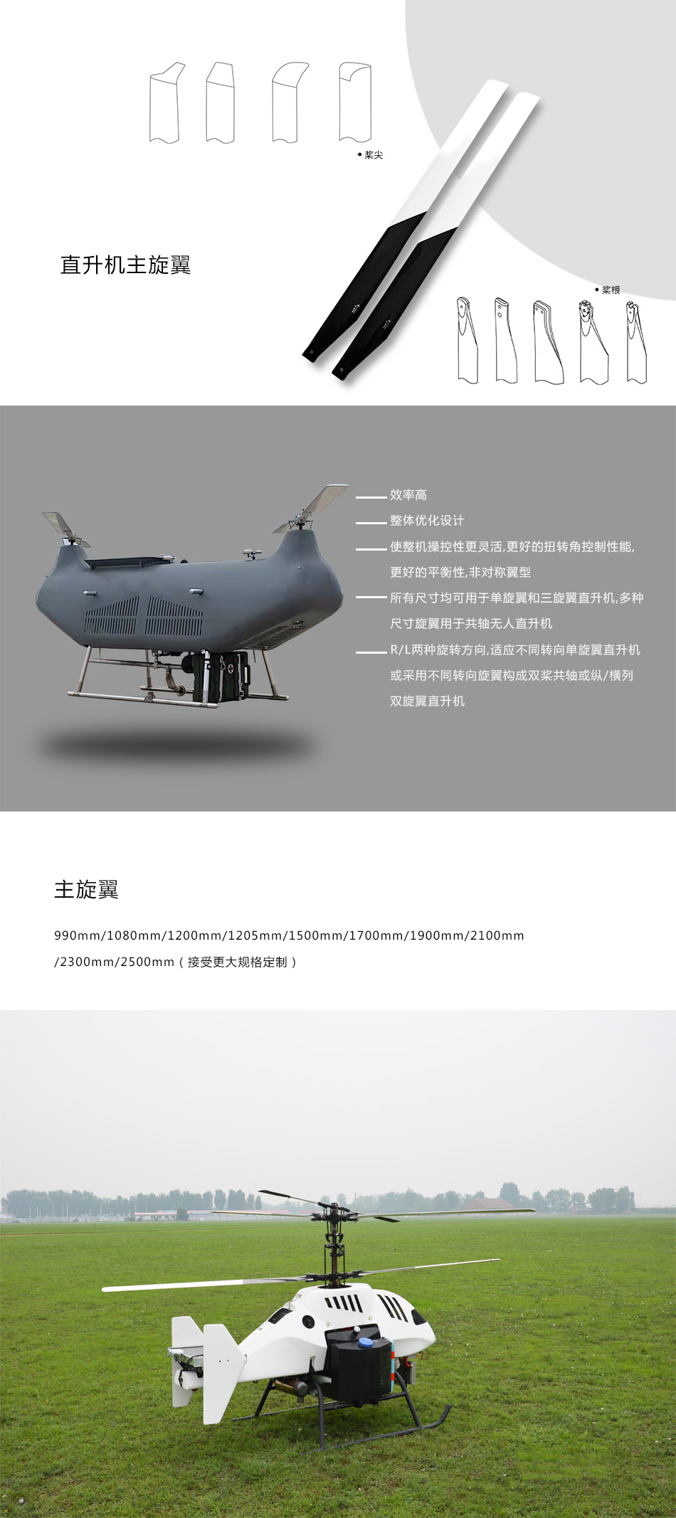 主旋翼 241028.jpg